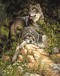 Wolfs in the night