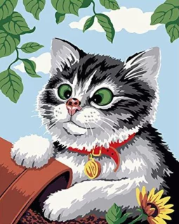 Cat portrait