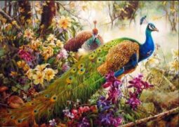 Kleurrijke vogels